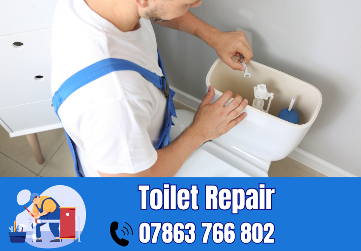 toilet repair Lymm